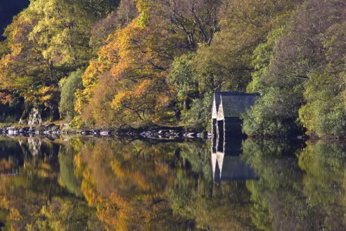 Framed Print : Autumn colours and Boat houses reflections in Llyn Dinas - October - Snowdonia - North Wales Framed Print : Autumn colours and Boat houses reflections in Llyn Dinas - October - Snowdonia - North Wales