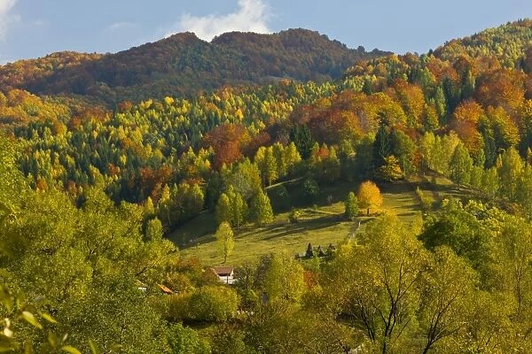 Autumn in the Zsil valley, above Petrosani, Retezat Mountains, South Carpathians, Romania