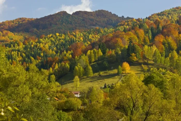 Framed Print : Autumn in the Zsil valley, above Petrosani, Retezat Mountains, South Carpathians, Romania Framed Print : Autumn in the Zsil valley, above Petrosani, Retezat Mountains, South Carpathians, Romania