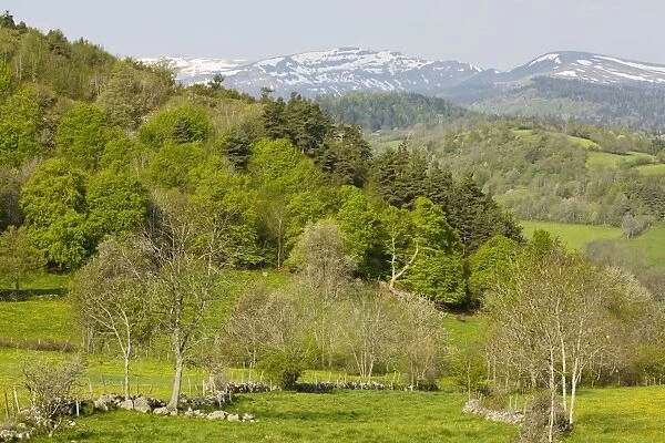 The Auvergne in spring, looking towards the Monts du Cantal. Auvergne Natural Regional Park, France