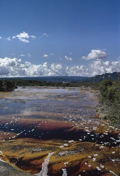 Auyantepui (Auyantepuy, Devil's Mountain) summit, blackwater river (golden river), Canaima National Park, Venezuela, South America