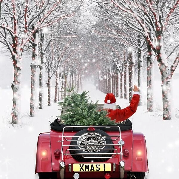 Avenue of Trees - with Father Christmas driving