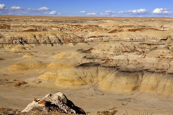 Badlands - view into a valley of badlands. The colours range from yellow to ocre and black - Bisti Badlands Wilderness Area, New Mexico, USA