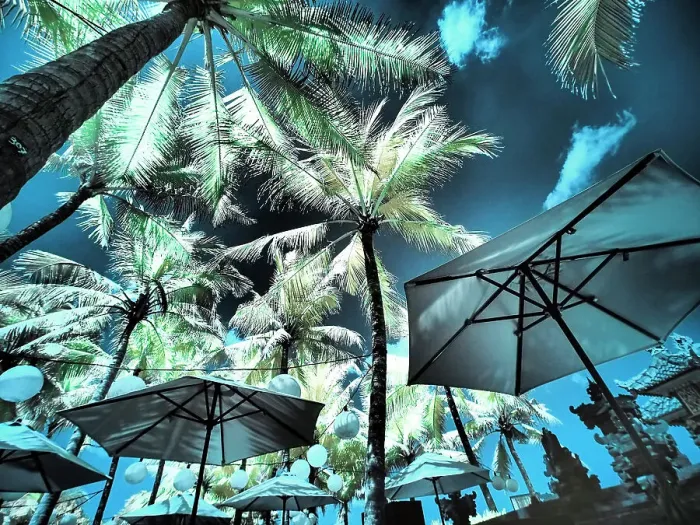 Framed Print : Bali, Ubud. Umbrellas, Ponds and pools at hotel in Ubud Date: 14-04-2018 Framed Print : Bali, Ubud. Umbrellas, Ponds and pools at hotel in Ubud Date: 14-04-2018