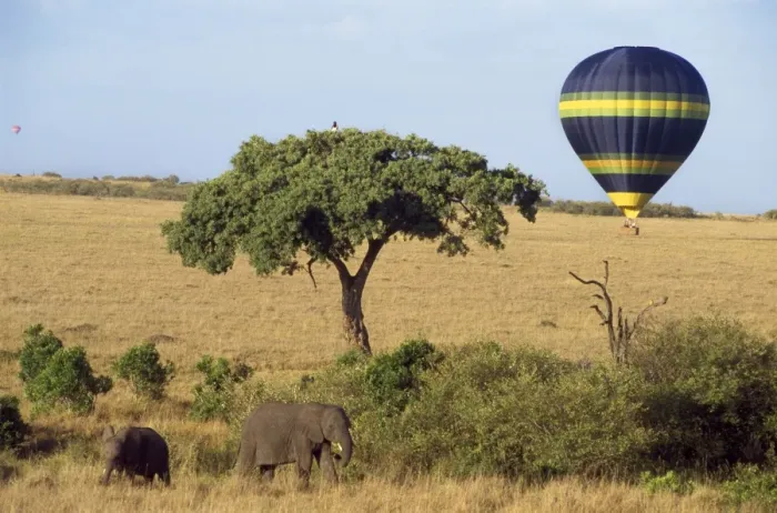 Framed Print : Balloon Safari Masai Mara, Kenya, Africa Framed Print : Balloon Safari Masai Mara, Kenya, Africa