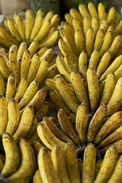 Bananas - Tomohon Tomohon Market - N. Sulawesi - minahasa highlands