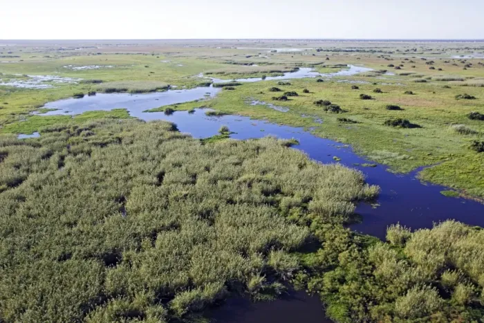 Framed Print : Bangweuleu marshes - aerial. Zambia Framed Print : Bangweuleu marshes - aerial. Zambia