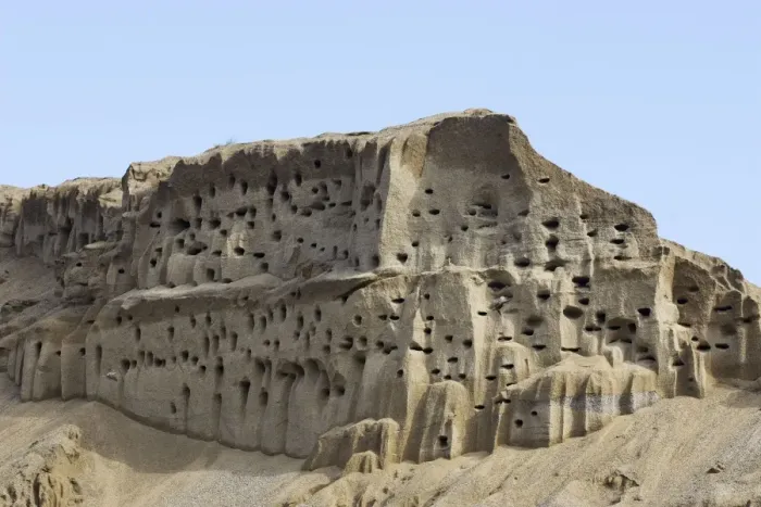 Framed Print : Bank Swallow  /  Sand Martin - nest holes at colony in sand bank