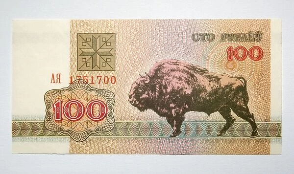 Banknote - Old Belorussia uncirculated banknote 100 roubles - depicting European Bison of Bialowieza Nature Reserve En44. 0001