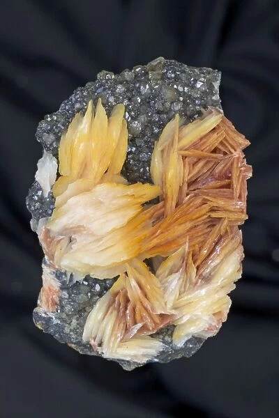Barite (BaS04) on Cerrusite - Mibladen - Morocco - Barite (orange) is the major ore of barium (barium sulfate) - Mineral class: sulfates - Barite is an important commercial mineral - Widely used as a pigment - Used in medical tests - Cerrusite (grey)