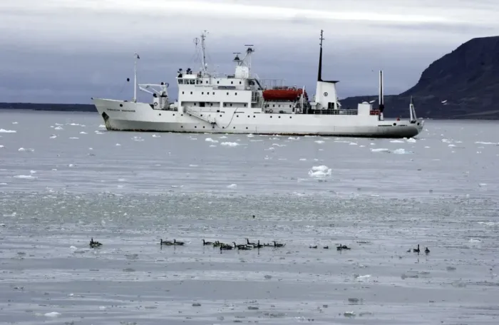 Framed Print : Barnacle Geese Alongside Arctic ship Prof Molcholov Coast of Spitzbergen Framed Print : Barnacle Geese Alongside Arctic ship Prof Molcholov Coast of Spitzbergen