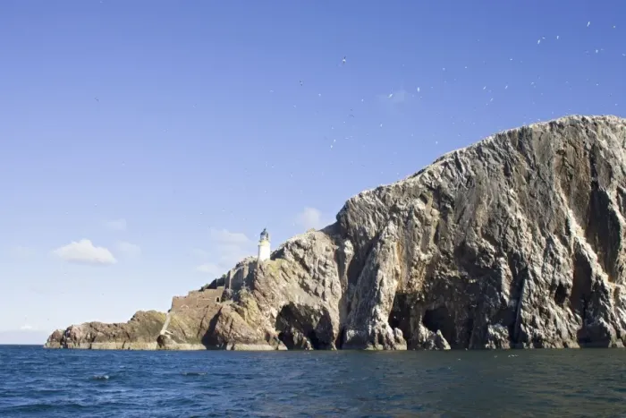 Framed Print : Bass Rock & gannets Scotland