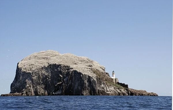 Bass Rock- a volcanic plug, a major historic seabird nesting site. Firth of Forth, Scotland