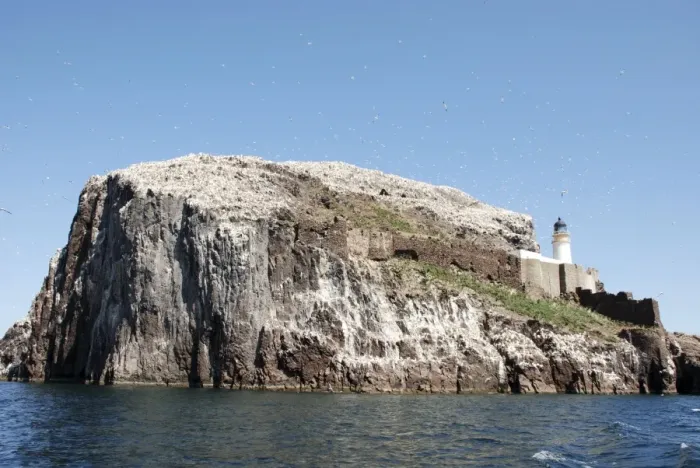 Framed Print : Bass Rock- a volcanic plug, a major historic seabird nesting site. Firth of Forth, Scotland. 20, 000 gannets nest here, many wheeling overhead in the picture Framed Print : Bass Rock- a volcanic plug, a major historic seabird nesting site. Firth of Forth, Scotland. 20, 000 gannets nest here, many wheeling overhead in the picture