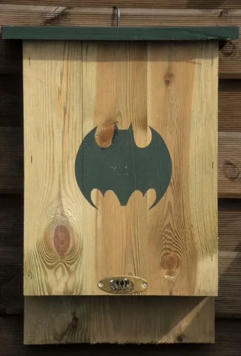 Framed Print : Bat - nestbox Framed Print : Bat - nestbox
