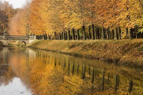 Beech Trees - Autumn colours - Ditch with castle bridge The Netherlands, Overijssel, Ommen, Eerde estate