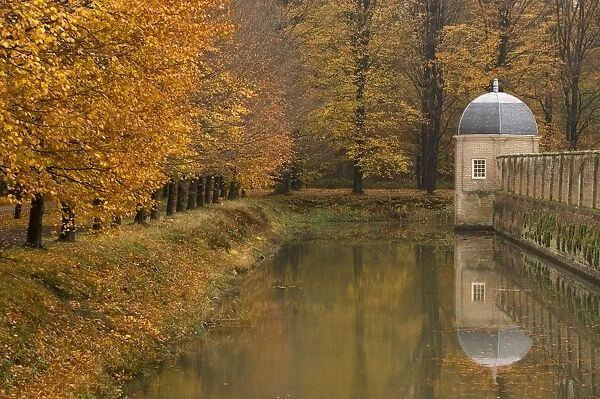 Beech Trees - Autumn colours The Netherlands, Overijssel, Ommen, Eerde estate