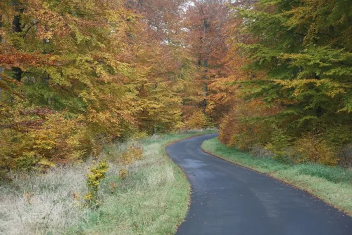 Framed Print : Beech Woodland, in autumn colour and country road, Hessen, Germany Framed Print : Beech Woodland, in autumn colour and country road, Hessen, Germany