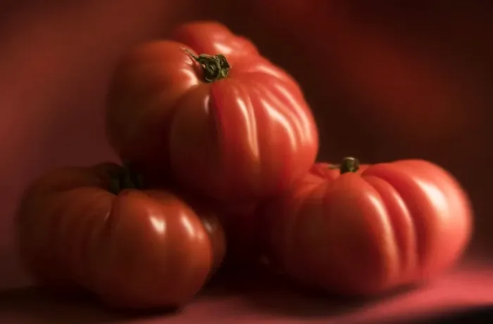 Framed Print : Beef Tomatoes - three Framed Print : Beef Tomatoes - three