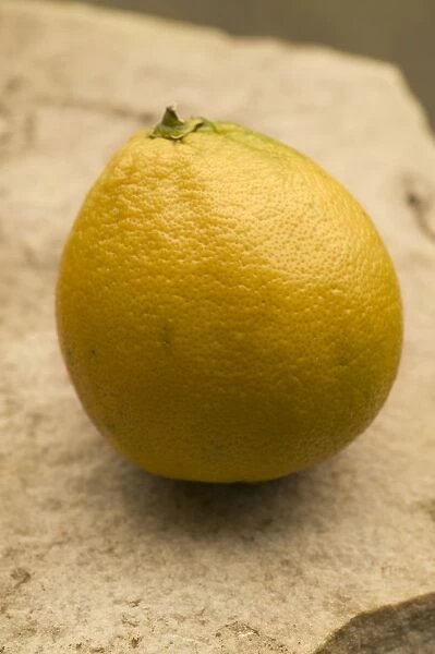 Bergamote. PPG-1790. Bergamote. Citrus bergamis