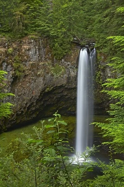 Big Creek Falls Lewis River Washington State, USA LA001067