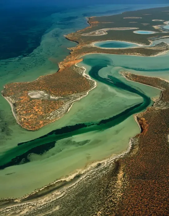 Framed Print : Big Lagoon Aerial from 2000 feet. Francois Peron National Park, Shark Bay, Western Australia JPF43555 Framed Print : Big Lagoon Aerial from 2000 feet. Francois Peron National Park, Shark Bay, Western Australia JPF43555