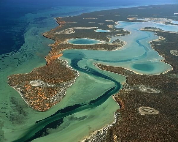 Big Lagoon, Shark Bay Western Australia JPF43573