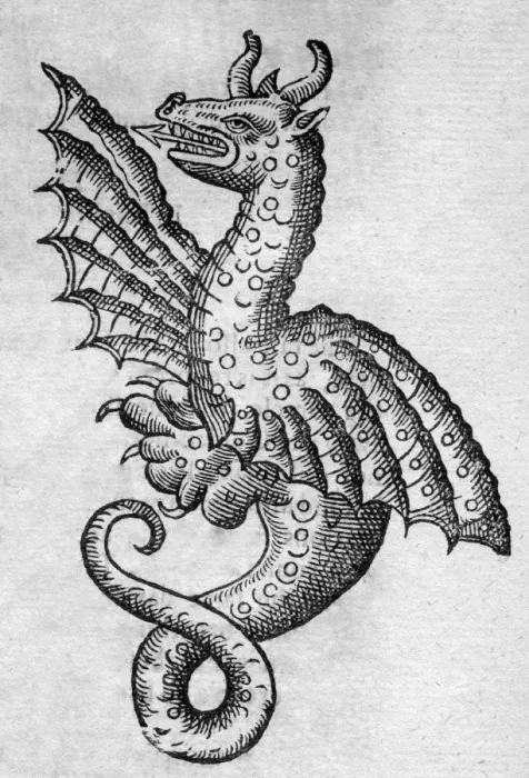 Framed Print : Black & White Illustration: Dragon- woodcut in Topsell 1658 Framed Print : Black & White Illustration: Dragon- woodcut in Topsell 1658
