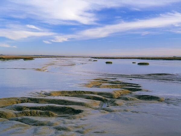 Blackwater Estuary - eroded mudflats at Mersea Island - Essex