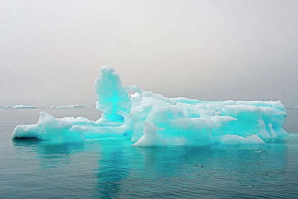 Blue iceberg in the fjord of Narsarsuaq, Greenland Date: 31-07-2017