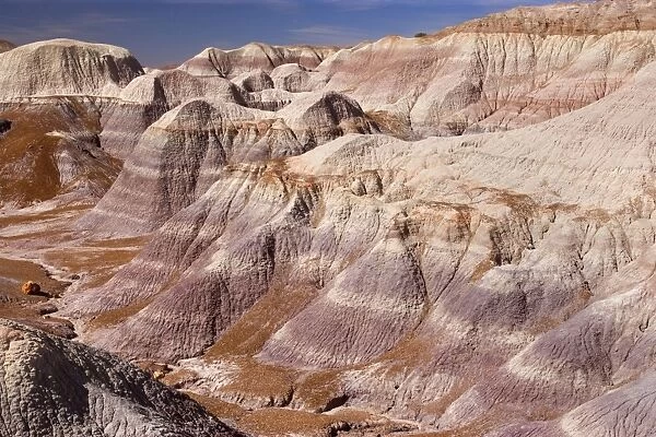 Blue Mesa Badlands - eroded clay formations called Badlands - Petrified Forest National Park - Arizona - USA
