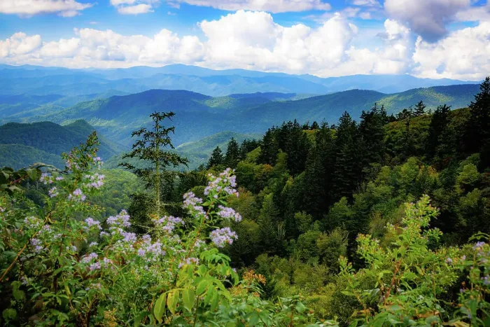 Framed Print : Blue Ridge Parkway vista, Smoky Mountains, USA. Date: 30-09-2018 Framed Print : Blue Ridge Parkway vista, Smoky Mountains, USA. Date: 30-09-2018