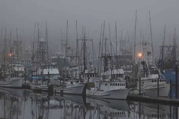 Boats in Harbor - in fog - New Port Oregon - USA
