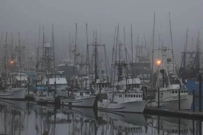 Framed Print : Boats in Harbor - in fog - New Port Oregon - USA Framed Print : Boats in Harbor - in fog - New Port Oregon - USA