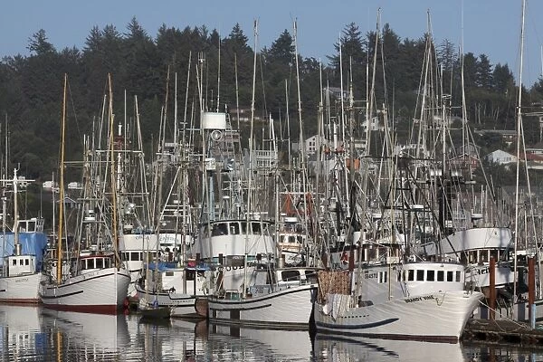 Boats in Harbor - New Port Oregon - USA