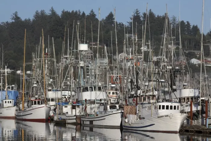 Framed Print : Boats in Harbor - New Port Oregon - USA Framed Print : Boats in Harbor - New Port Oregon - USA