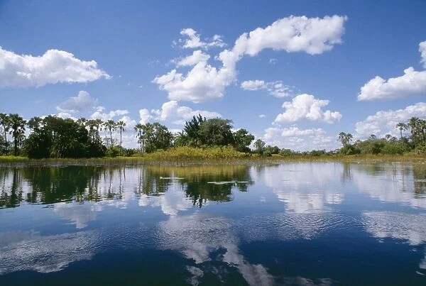 Botswana CRH 513 Okavango Lagoon © Chris Harvey  /  ARDEA LONDON