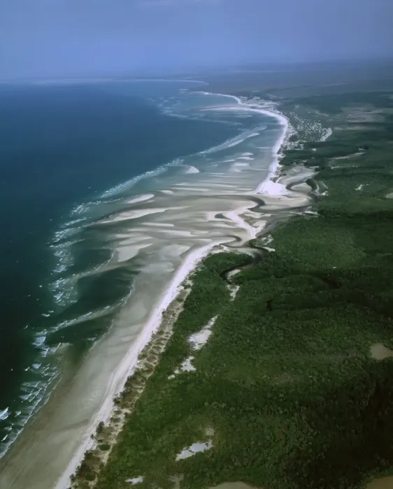 Framed Print : Boucaut Bay, aerial sandy beach & mangroves, Arnhemland, Northern Territory, Australia JPF48714