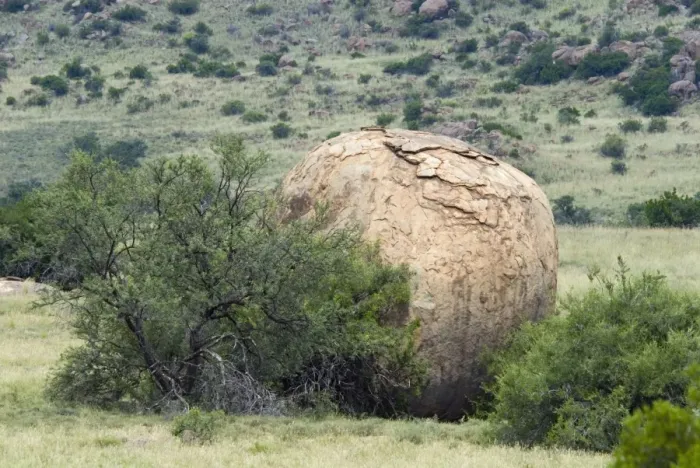 Framed Print : Boulder showing onion skin exfoliation. Mountain Zebra National Park, Eastern Cape, South Africa Framed Print : Boulder showing onion skin exfoliation. Mountain Zebra National Park, Eastern Cape, South Africa