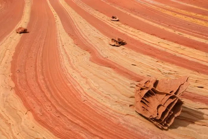 Framed Print : Boxwork Boneyard - old sand dunes turned into hard, compacted rock over the ages, with amazing yellow and red coloured striations. Boxwork boulders, which look like big chunks of bone, are laying on the colourful stripes - Vermillion Cliffs Framed Print : Boxwork Boneyard - old sand dunes turned into hard, compacted rock over the ages, with amazing yellow and red coloured striations. Boxwork boulders, which look like big chunks of bone, are laying on the colourful stripes - Vermillion Cliffs