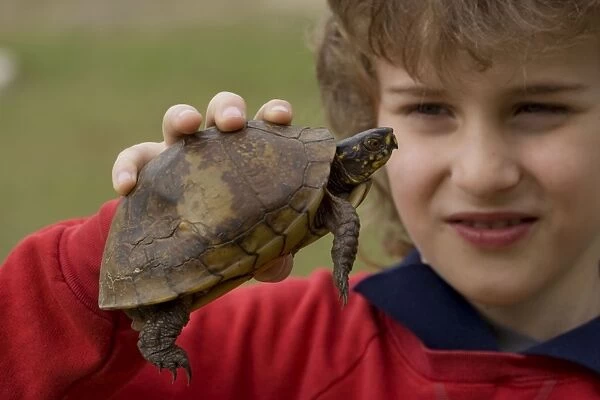 Boy holding Eastern Box Turtle