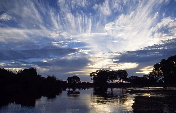 Brazil - Mato Grosso North sunrise near Fazenda Santa Tereza in the Pantanal