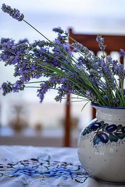 Bremerton, Washington State, USA. Lavender in a vase. Date: 15-07-2020