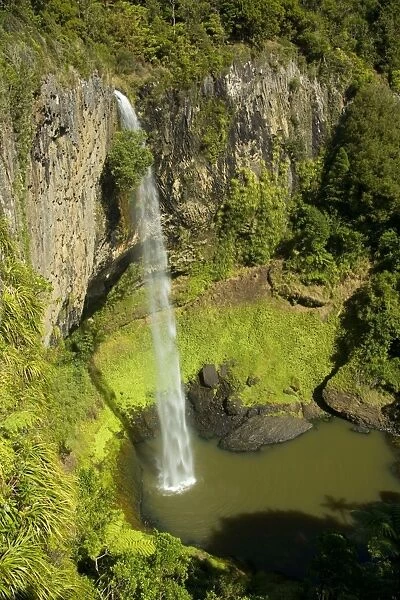Bridal Veil Falls water rushes in a thin jet down a steep ledge into a large pool surrounded by lush temperate rainforest Raglan, Waikato, North Island, New Zealand