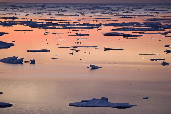 Broken sea ice at sunset, Kong Oscar Fjord
