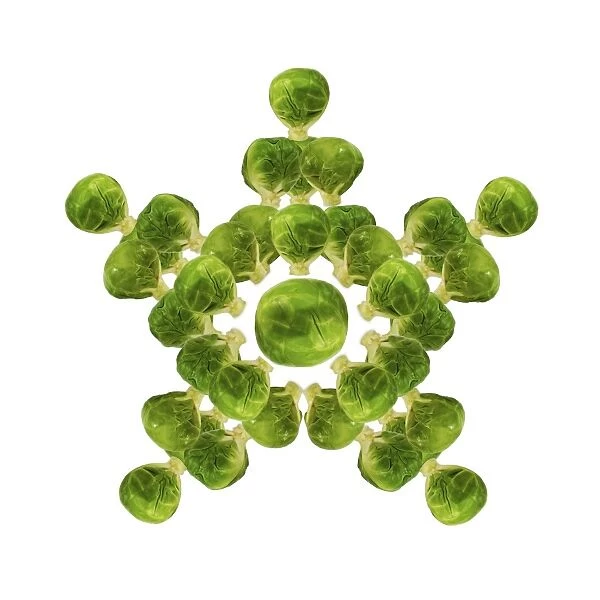 Brussel Sprout - in star or snowflake shape