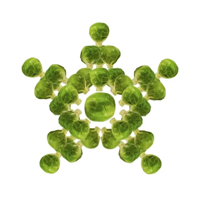 Framed Print : Brussel Sprout - in star or snowflake shape Framed Print : Brussel Sprout - in star or snowflake shape