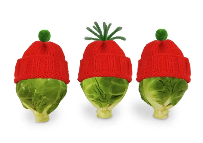 Framed Print : Brussels sprout - with red & green woolly hat Framed Print : Brussels sprout - with red & green woolly hat
