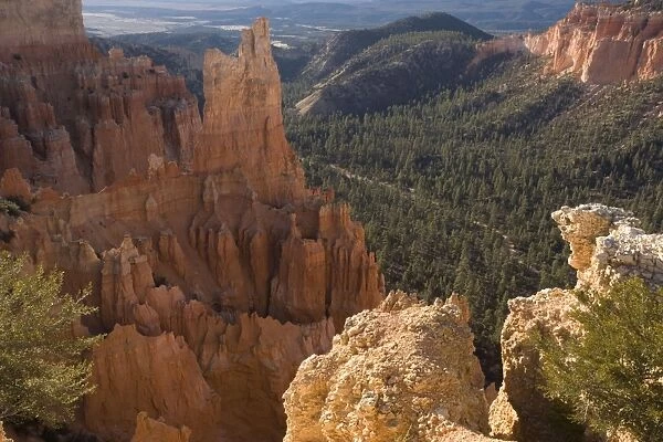 Bryce Canyon, Fairview