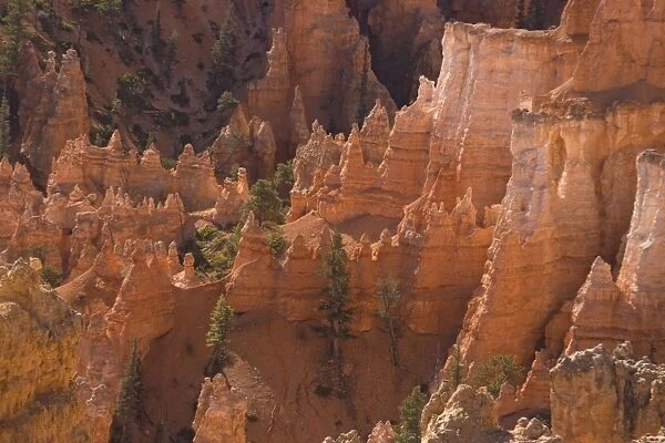 Bryce Canyon: Hoodoes and cliffs from Sunset Point